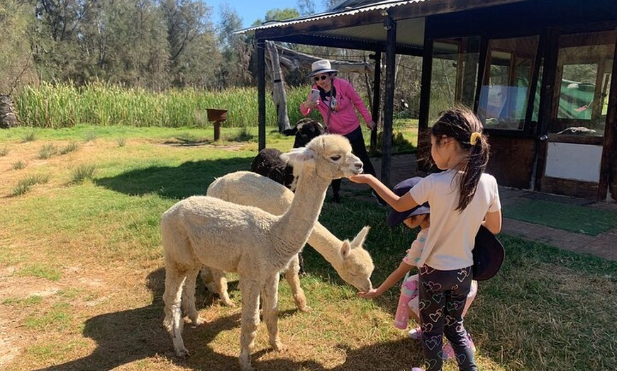 Image 3: Boshack Farm - Animal, Wildlife, Stargazing Nature Aussie culture