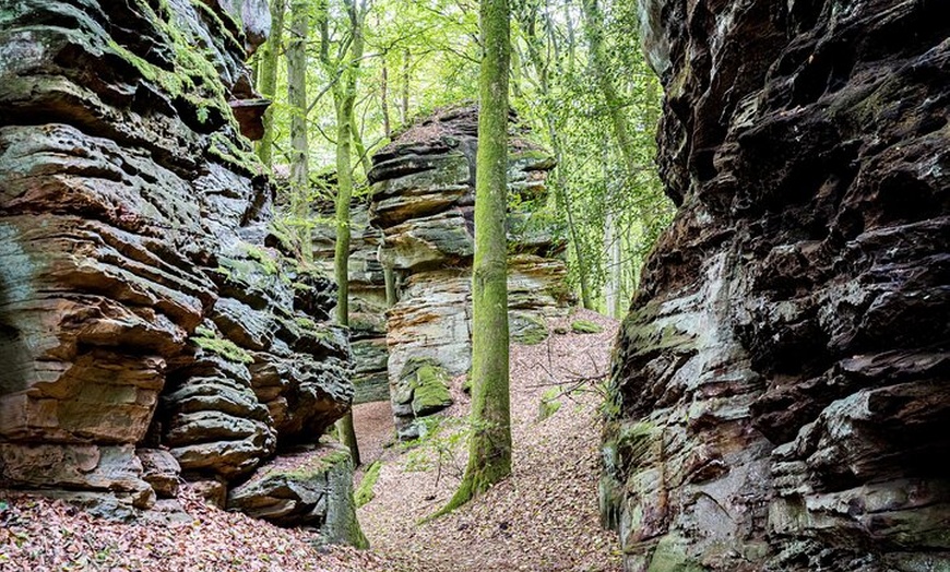 Image 5: Naturerlebnis Grüne Hölle mit köstlichem Überraschungsfinale