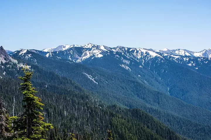 Olympic National Park Day Tour from Seattle