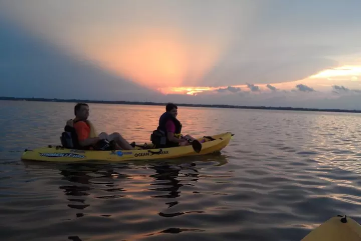 Guided Kayak Tour with Manatee & Dolphin Sightings