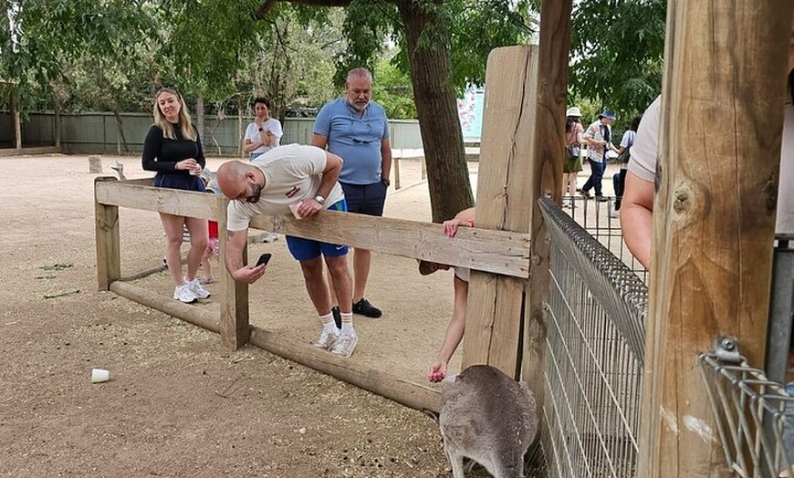 Image 2: PRIVATE Blue Mountains Scenic World Australian Wildlife & Cruise