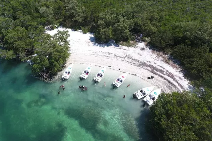 Key West Safari Eco Sandbar Tour Adventure with Snorkeling