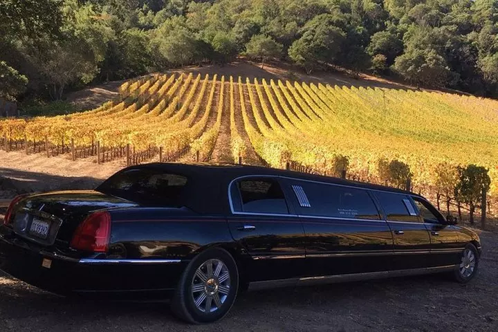 6-Hour Luxury Napa Wine Tasting Tour with Route Planning - Primary Image