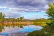 Self Guided Driving Audio Tour of Everglades National Park - Second Medium