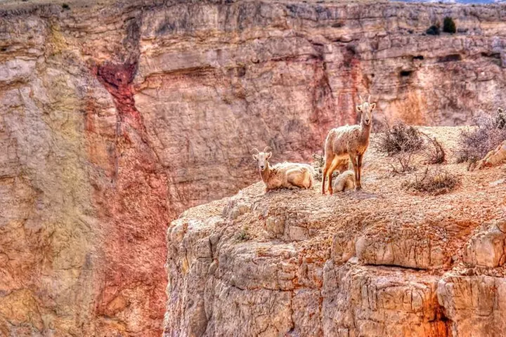 Red Rock Canyon Self-Guided Driving Audio Tour