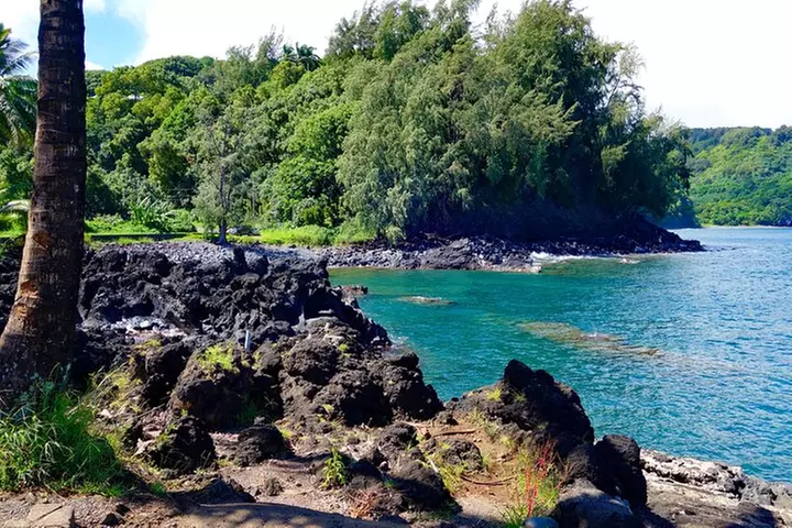 Road to Hana Rainforest, Black Sand Beach, Waterfalls & Lunch