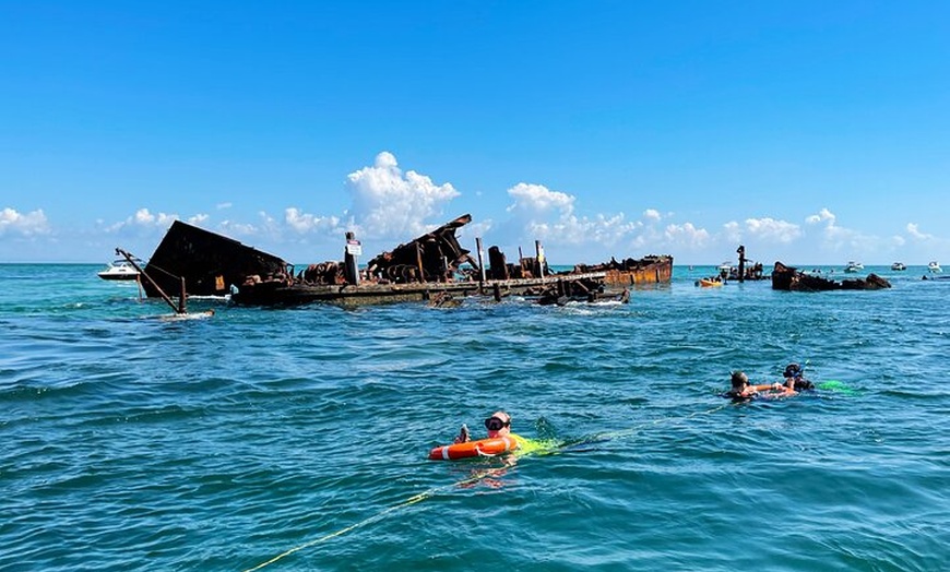 Image 4: Dunwich: Moreton Bay Islands Boat Tour with Swimming