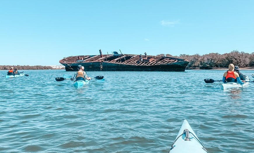 Image 9: Dolphin Sanctuary Kayak Tour Adelaide