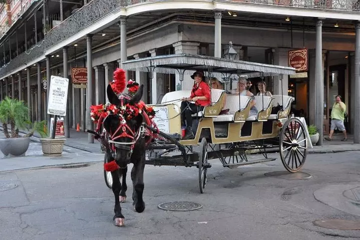 New Orleans French Quarter and More Carriage Ride