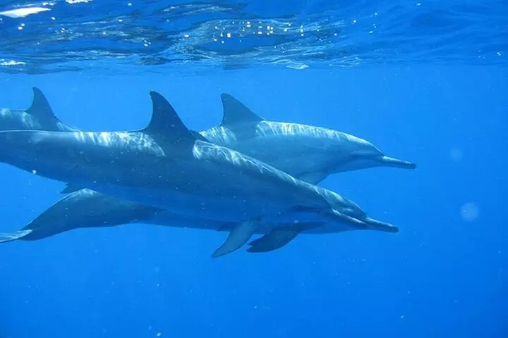 Ultimate Na Pali Coast Zodiac Boat Snorkeling and Sea Cave Tour