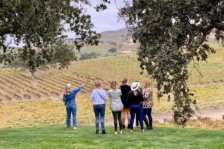 Small-Group Wine Tasting Tour of Santa Barbara Wine Country