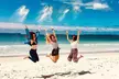 Jervis Bay Tour with Dolphins, Kangaroos & World's Whitest Beach - Image 2