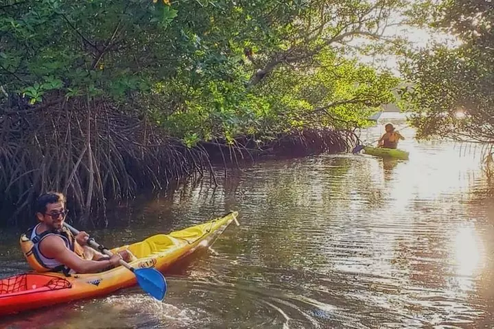 Miami's Best Kayak & Paddleboard Rentals - Primary Image