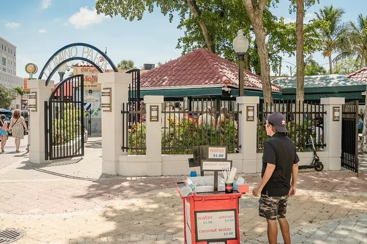 Miami Cultural city tour, Little Havana & Wynwood exploration