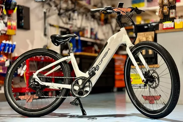 Full Day Electric Bike Rental in Galveston Texas