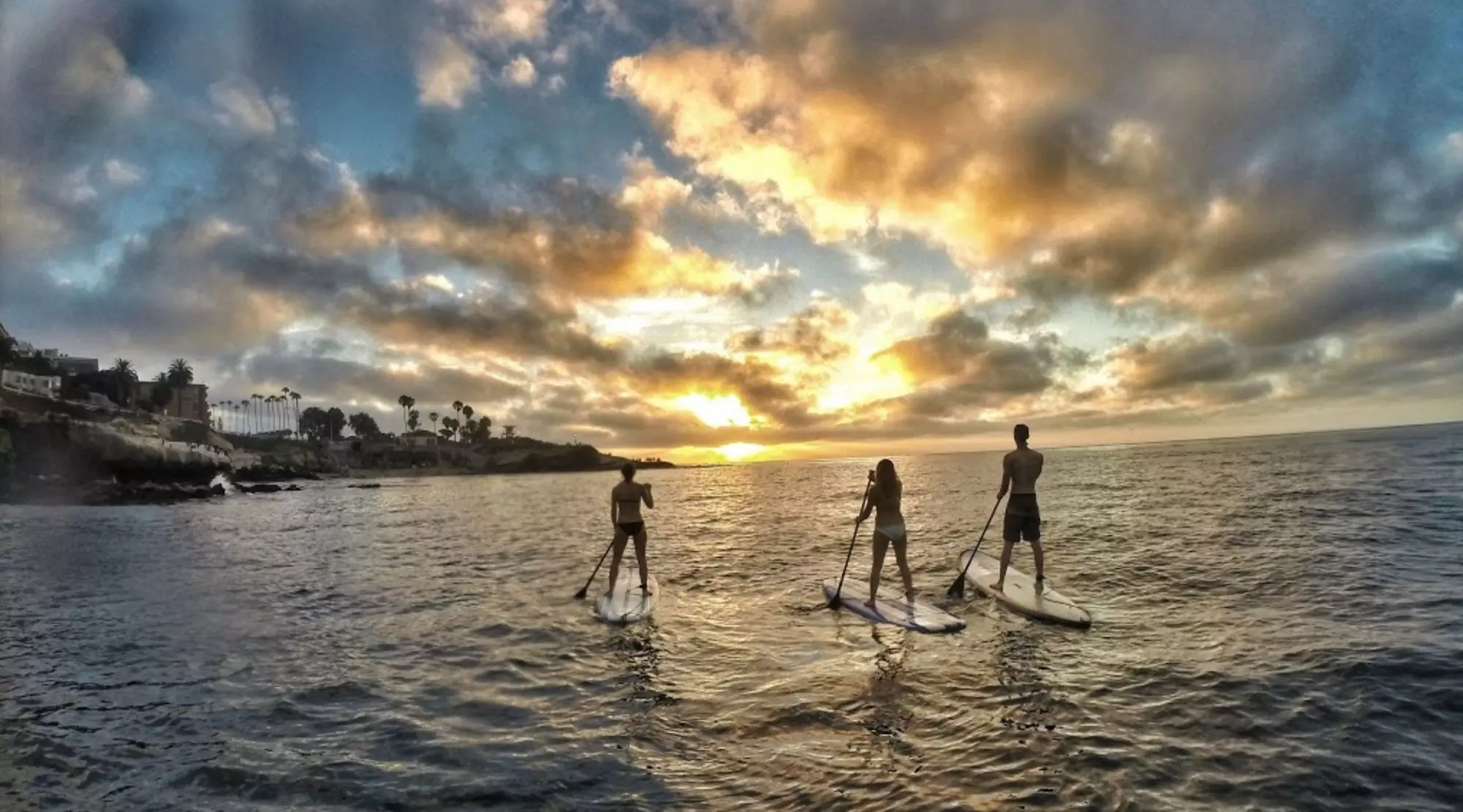Soft Top Adventure: All Day SUP Rental - Primary Image