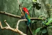 Central Park Zoo Skip-the-line Tickets & Private Transfers - Second Medium