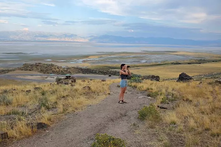 Great Salt Lake Safari - Discover Antelope Island