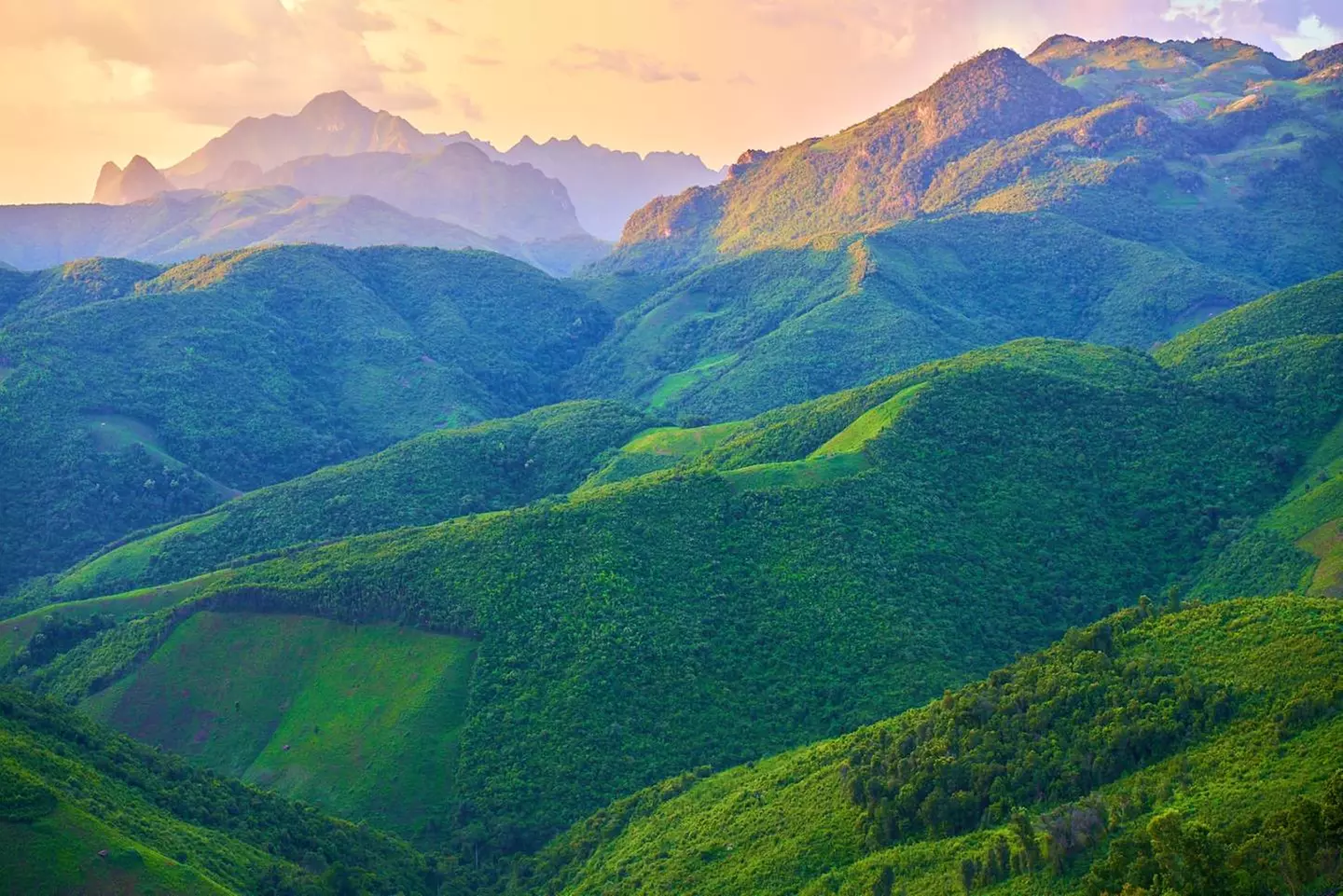 ✈ LAOS | Luang Prabang - Entdecken Sie das wilde, spirituelle und a...