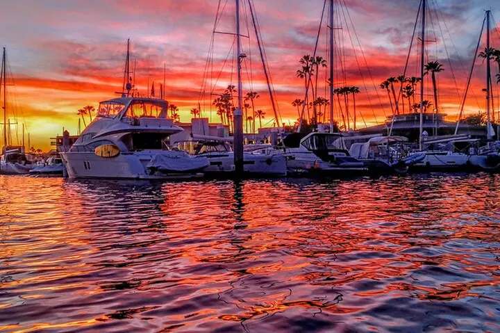 Romantic Luxury Boat Cruise with Wine Cheese Sea LionTours - Primary Image