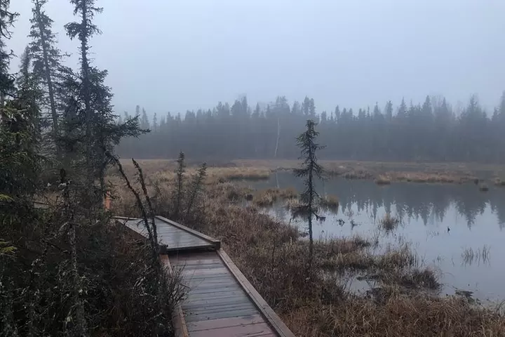 Summer Valley and Forest Hike