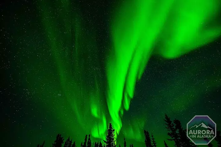 SkyChase™ | Northern Lights Experience - Free Photography & More