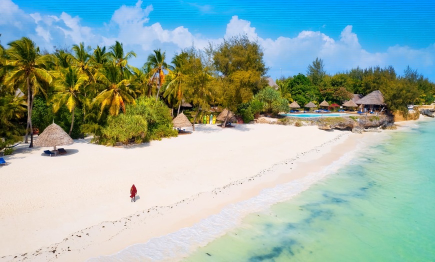 Image 12: ✈ TANZANIE | Du Kilimanjaro à Zanzibar - Sur la trace des animaux d...