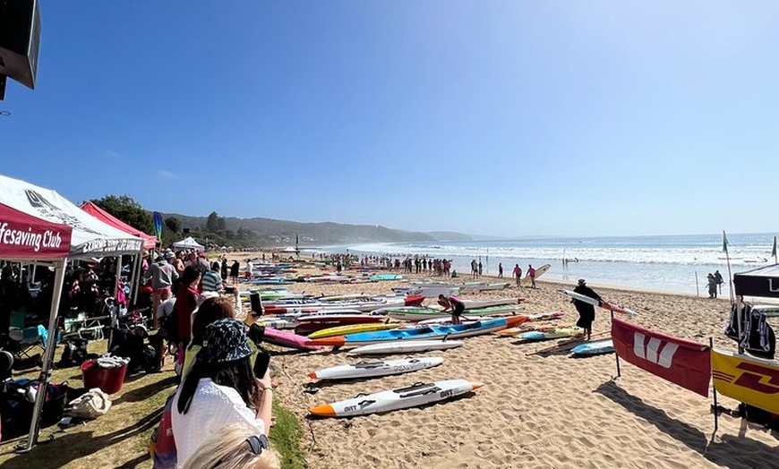 Image 4: Melbourne: Explore Great Ocean Road by Private Tour