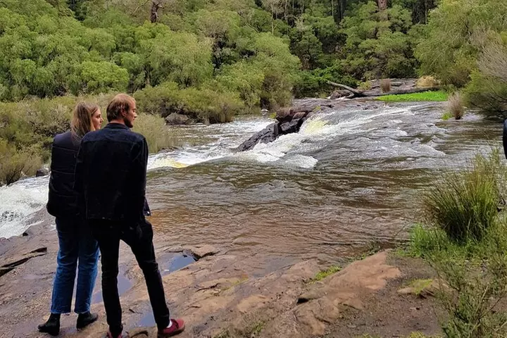 Hidden Gems: Boutique Full-Day Wine, Farm & Lunch Tour