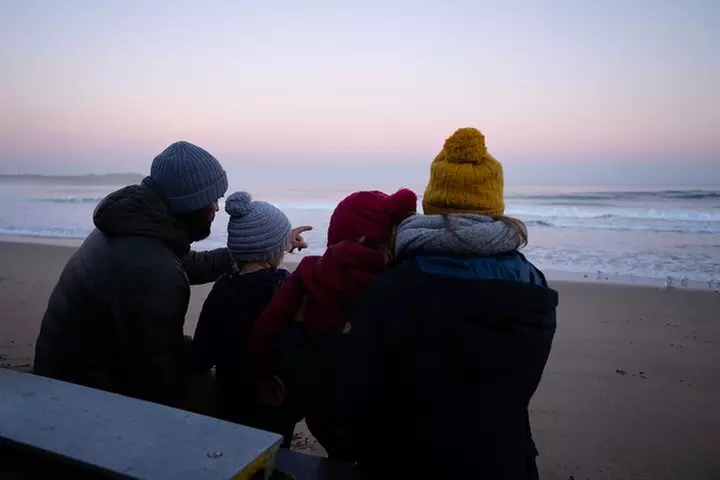 Phillip Island Penguin Parade, Wildlife and Beach Boxes Bus Tour