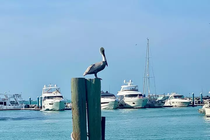 Ft. Lauderdale to Key West Day Trip Quality Day Tours