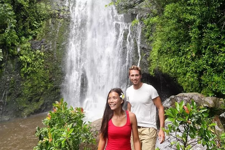 Epic Waterfall Adventure, the Best of Maui