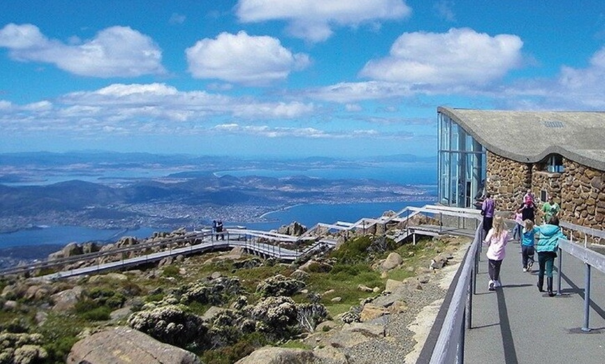 Image 3: Mt Wellington Ultimate Experience Tour from Hobart