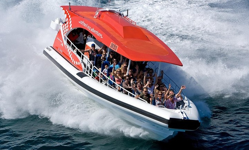 Image 4: Adventure Rottnest Tour with Ferry & Adventure Cruise