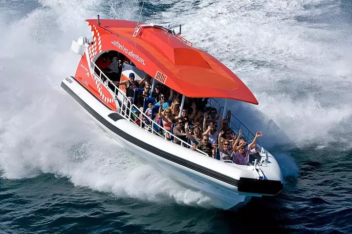 Adventure Rottnest Tour with Ferry & Adventure Cruise