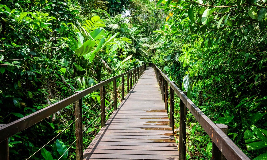 Image 6: ✈ COSTA RICA | San José - Au Cœur de la Nature : Jungle, Plages et ...