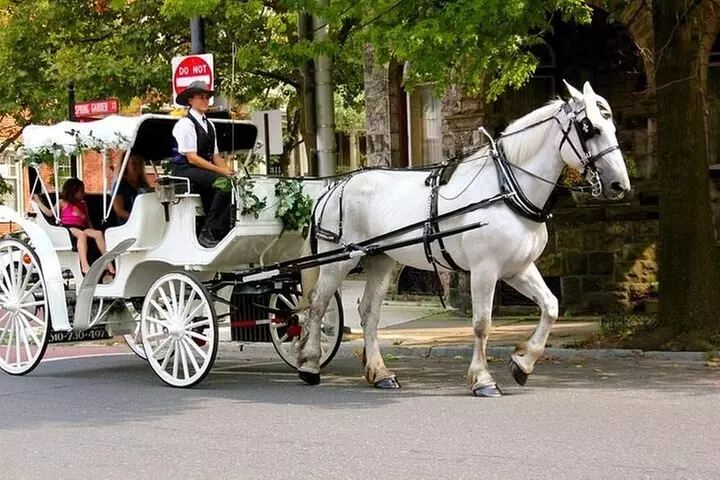 Horse Carriage Romantic Ride (VIP-Private) in Central Park 1964
