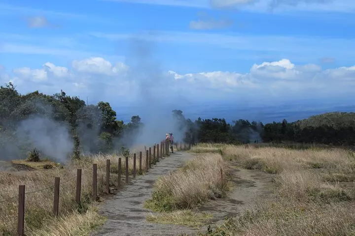 Hilo Shore Excursion: Active Volcano, Lava Tube, Waterfall and Gardens