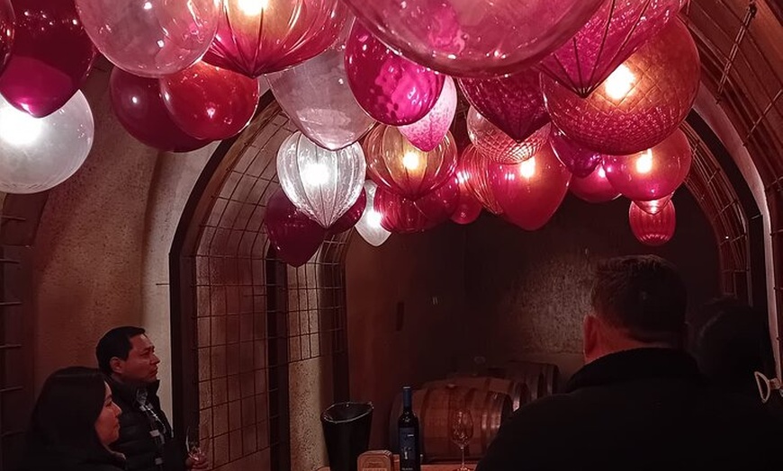 Image 46: Tour Ribera del Duero : Tres Bodegas y Almuerzo desde Madrid