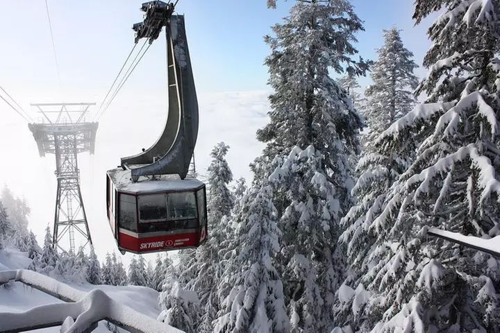 Private Tour: Capilano Suspension Bridge and Grouse Mountain - Primary Image