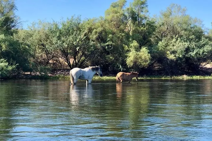 1 Person Inflatable Kayak Full-Day Rental - Transporting is required