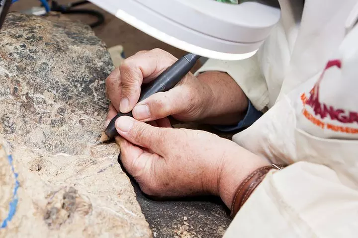 Australian Dinosaur Giants Tour