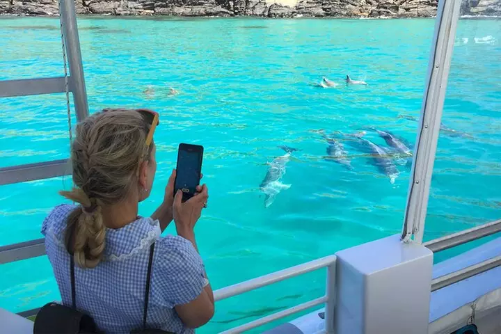 Kangaroo Island 75-Minute Coastal Safari