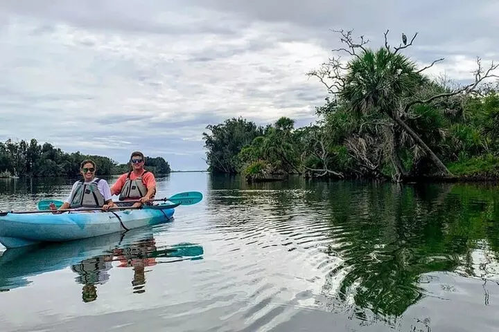 Wildlife Refuge Manatee, Dolphin & Mangrove Kayak or Paddleboarding...