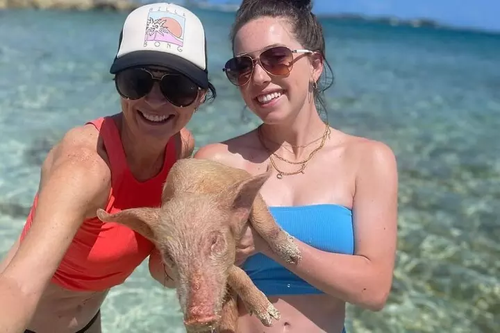 Swimming Pigs Beach Stop and Snorkel Tour Nassau(Private Boat) - Primary Image