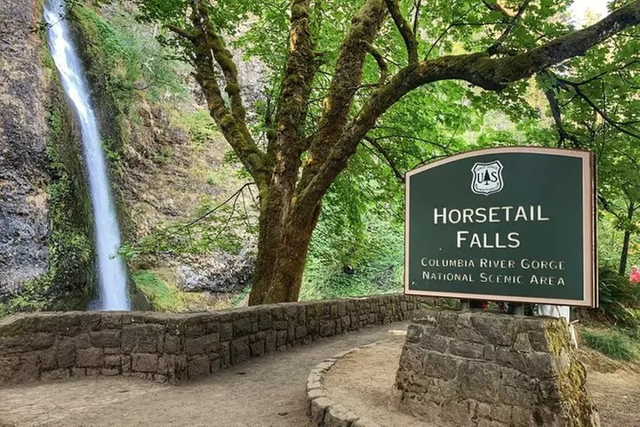 Afternoon Half-Day Multnomah Falls and Columbia River Gorge Waterfa...
