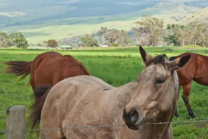 Big Island Adventure Bundle: 5 Epic Audio Driving Tours