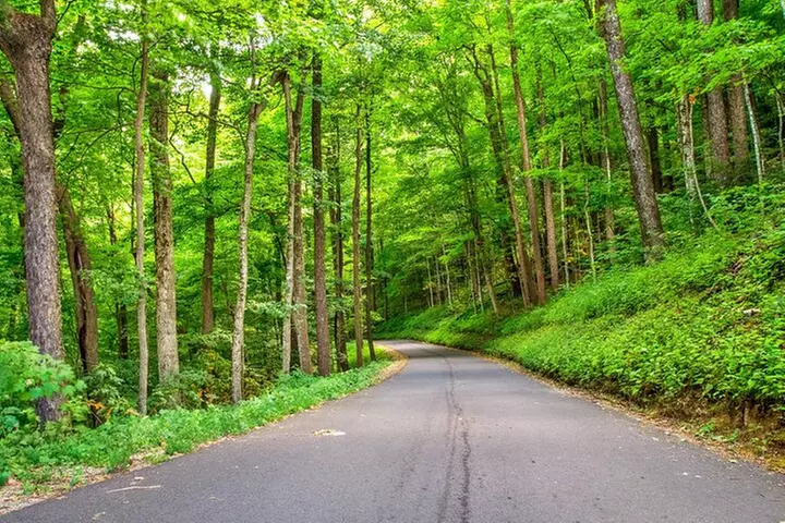 Great Smoky Mountains National Park Self-Guided Driving Tour