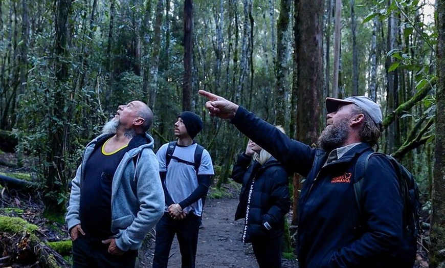 Image 11: Mt Field, Mt Wellington & Tassie Devils Active Tour from Hobart