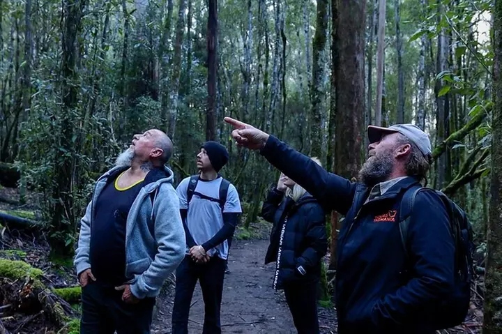 Hobart: Mt. Field, Mt Wellington & Wildlife - Active Day Tour